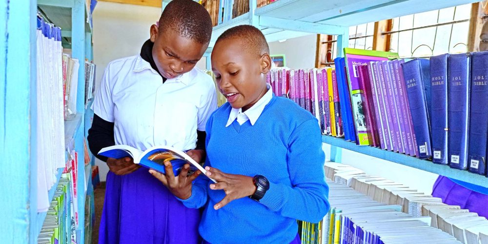 Shule Ina Maktaba yenye Vitabu vya Kutosha kwa Wanafunzi Wote